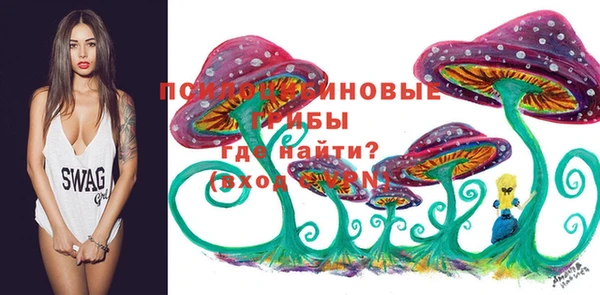 герыч Инсар