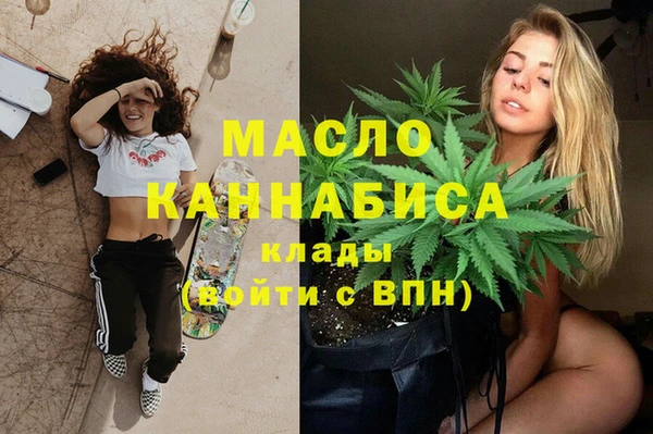 дмт Инта