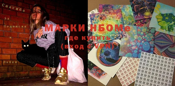 дмт Инта