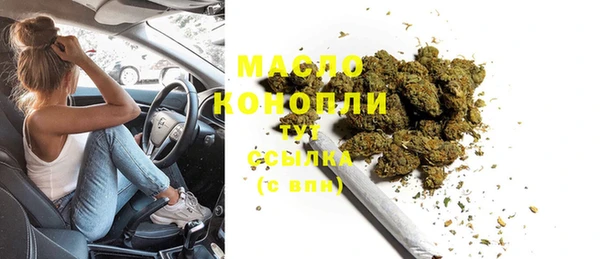 дмт Инта