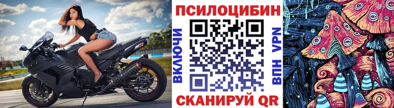 Купить  Буинск  Псилоцибиновые грибы Magic Shrooms 